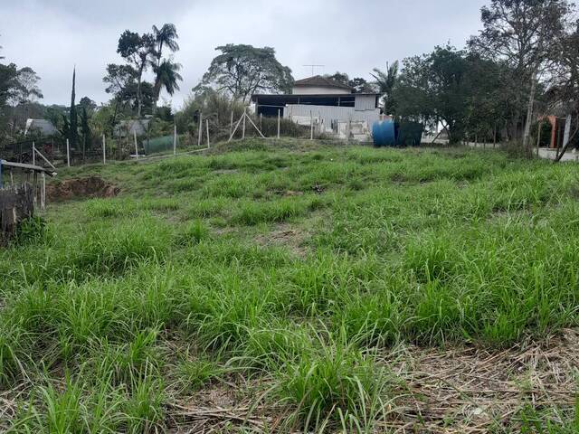 Terreno para Locação em Cotia - 4